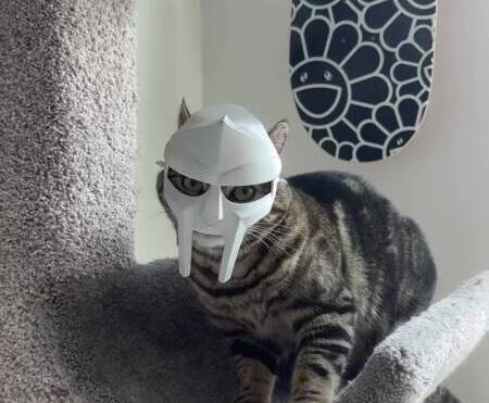 Homem imprime em 3D máscara de MF DOOM para seu gato